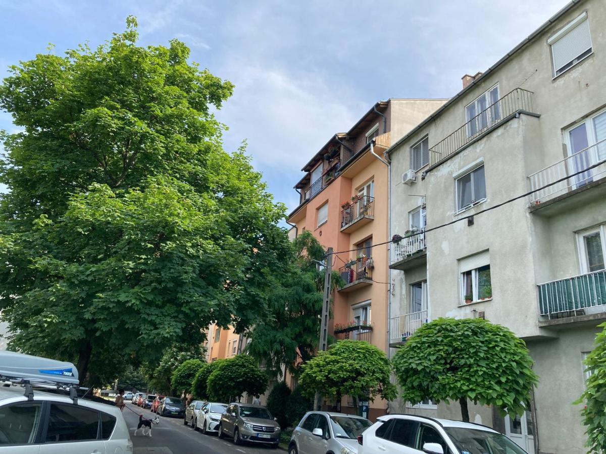 בודפשט Carina Apartment מראה חיצוני תמונה