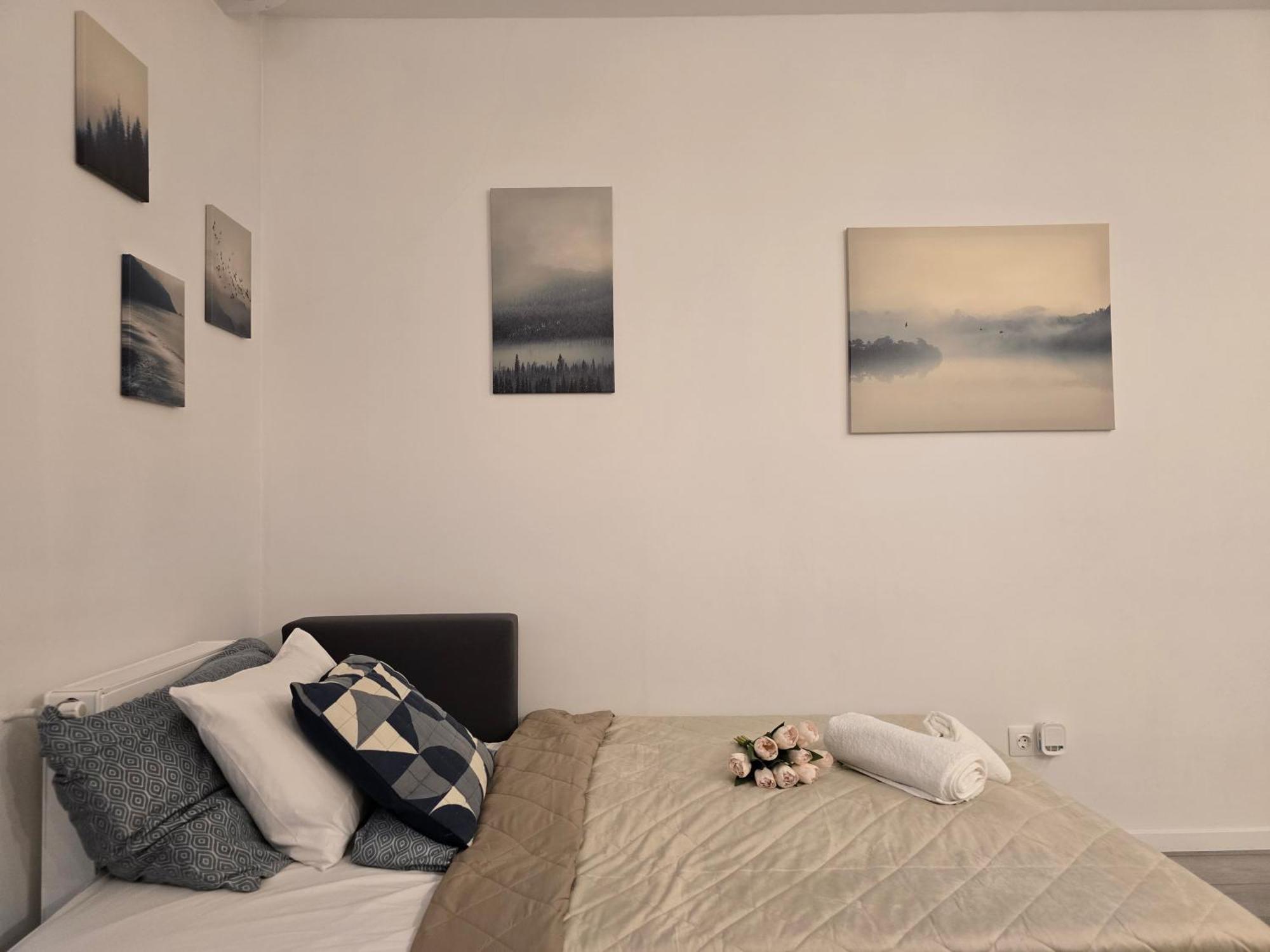 בודפשט Carina Apartment מראה חיצוני תמונה